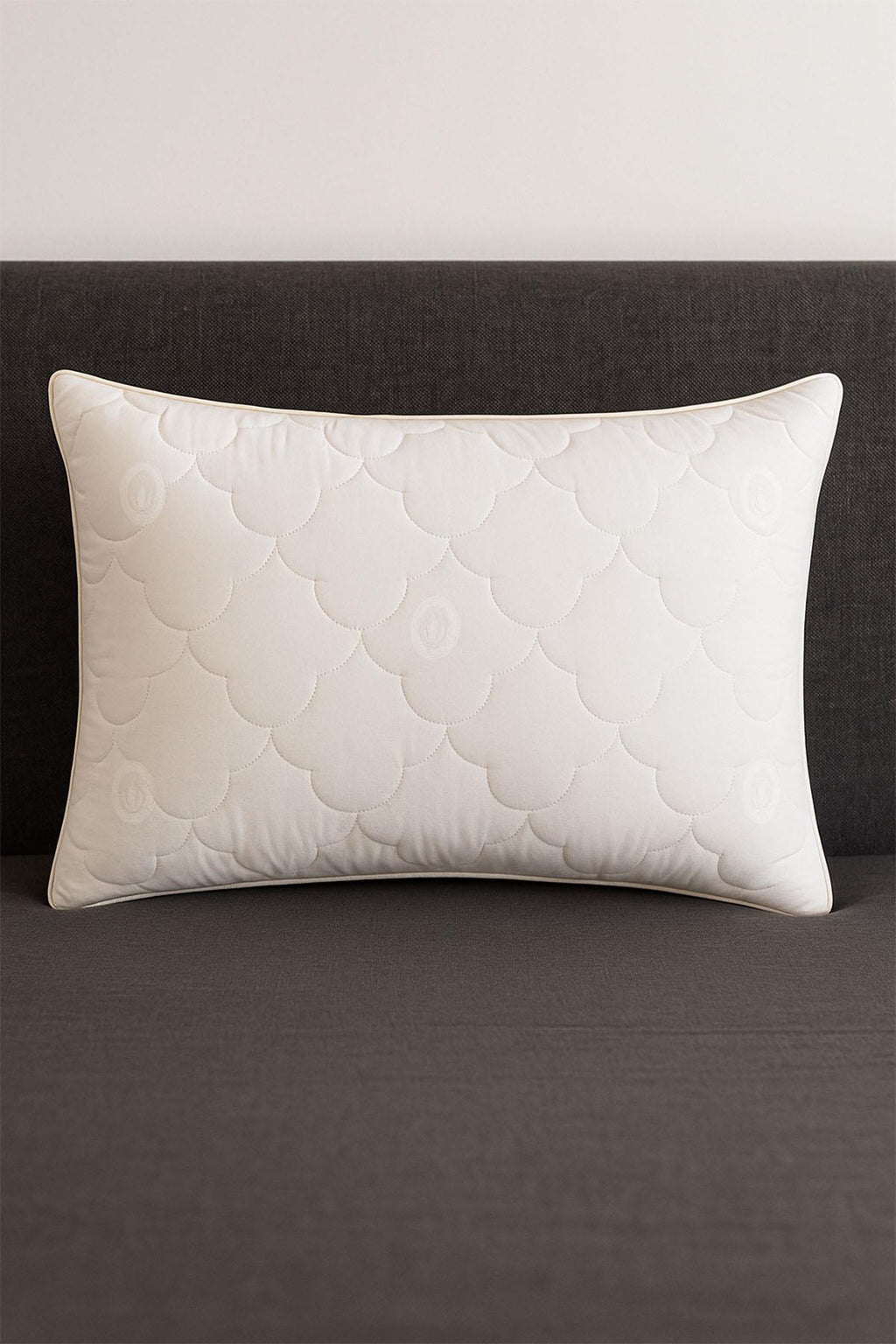 Pamuk Yastık (50 x 70 cm) / 1000 GR